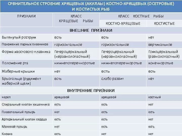 Чем отличаются классы рыб. Сравнительная характеристика хрящевых рыб таблица 7 класс. Сравнительная таблица костных и хрящевых рыб 7 класс. Сравнительная характеристика хрящевых и костных рыб. Сравнительная характеристика классов рыб хрящевые и костные.