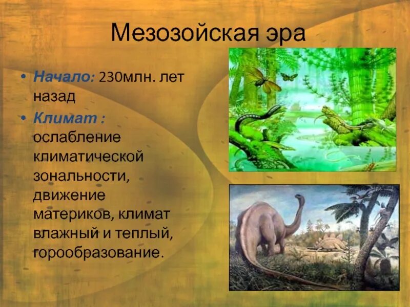 Мезозойская Эра. Мезозой условия жизни на земле. Мезозой периоды. Мезозойская Эра природные условия.