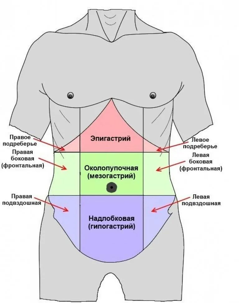 Тяжесть в животе причины у мужчин. Эпигогостральная область. Области живота. Эпигастральной области. Эпигастрий мезогастрий.