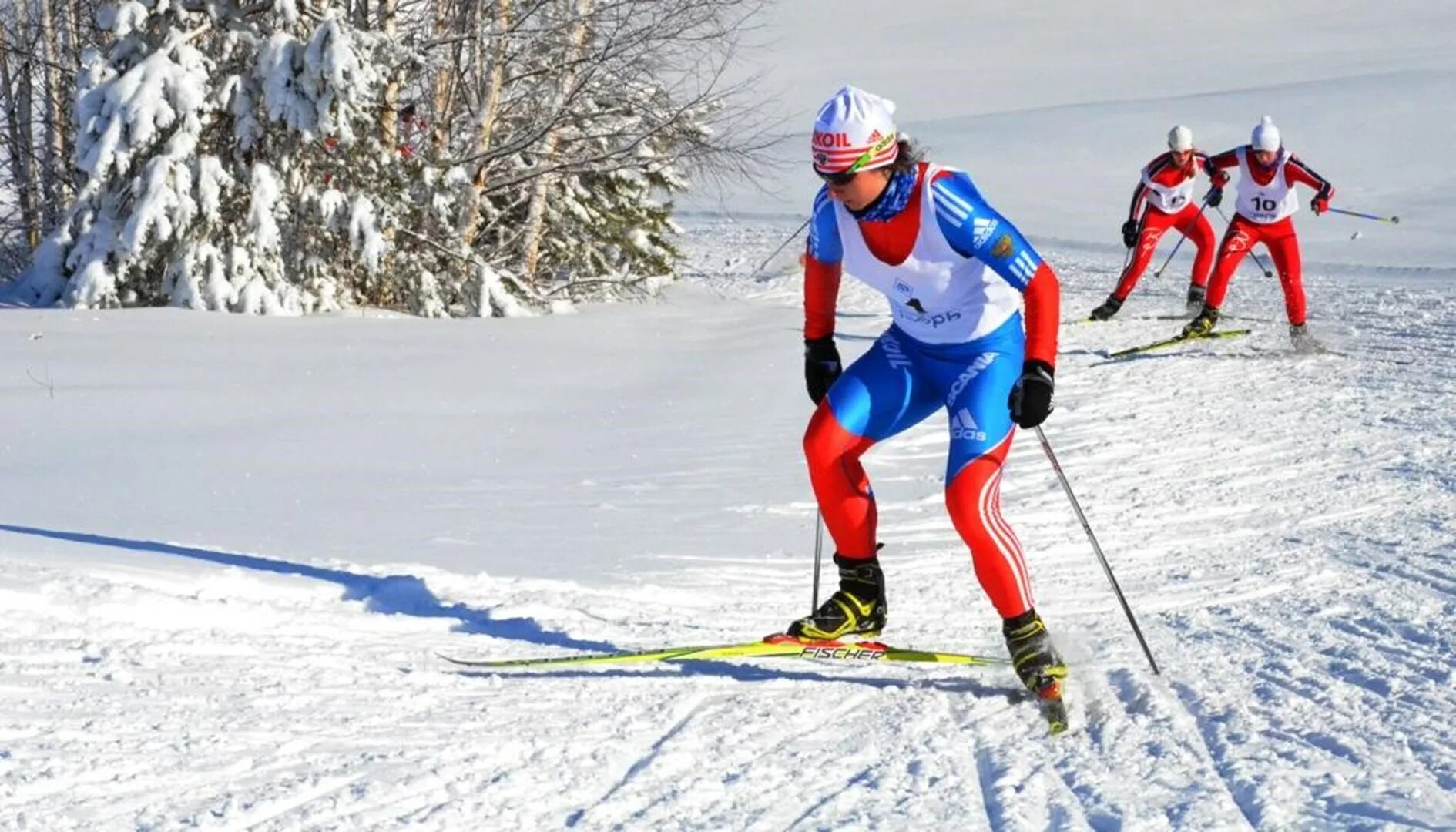 лыжники в питере. клэбо лыжи хорошее качество. великие лыжники россии. сборная москвы по лыжным гонкам. ханс кристер холунн.