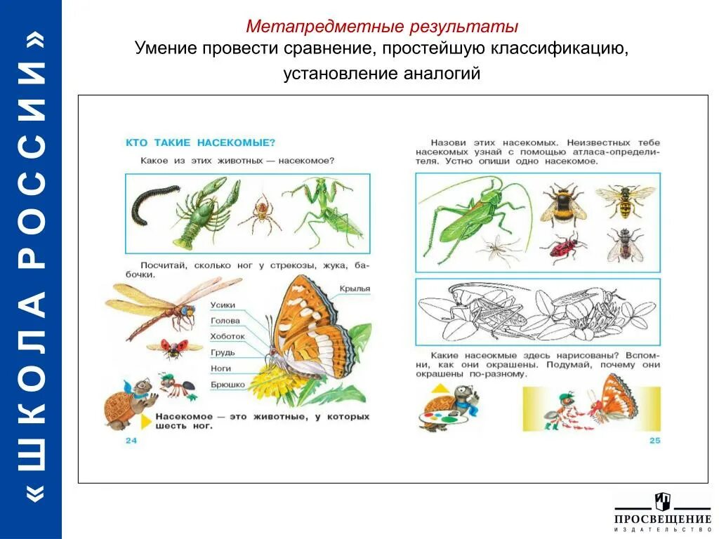 Метапредметное задание окружающий мир