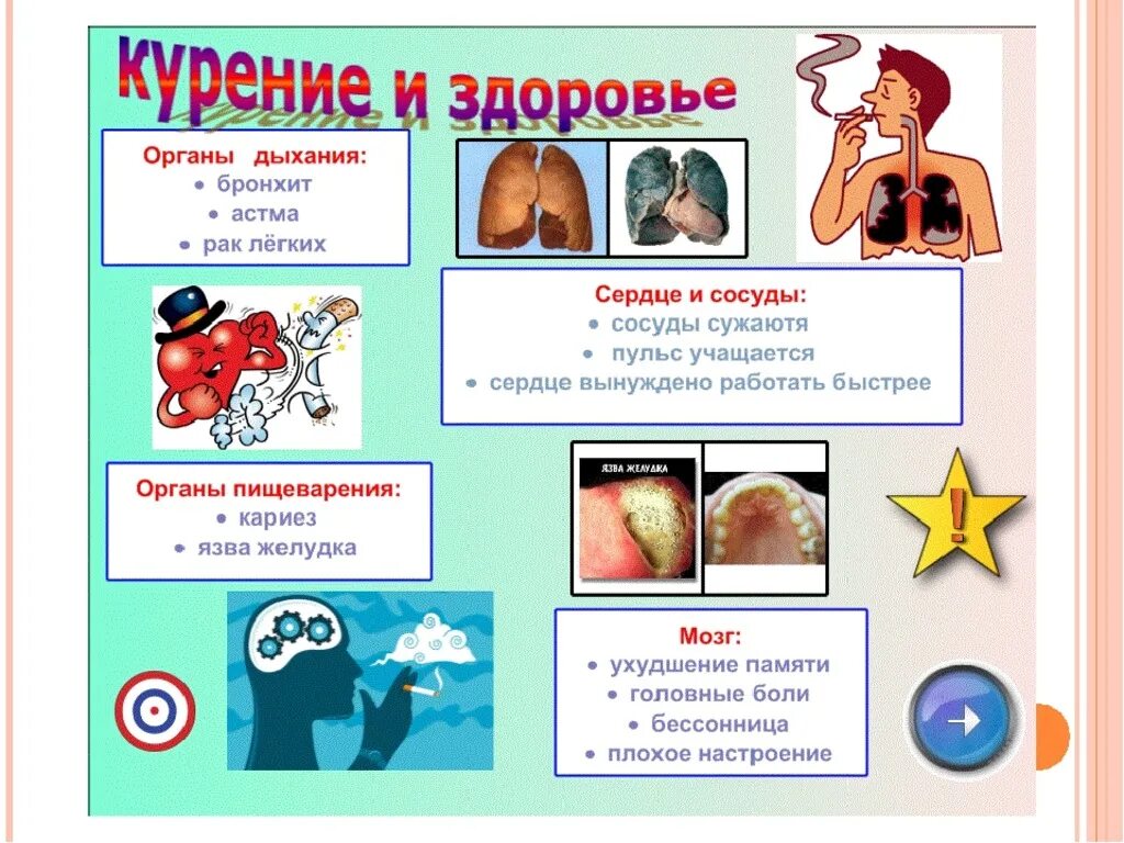 Проект 9 класс на тему вред курения Искитимцам о вреде курения Администрация города Искитима Новосибирской области