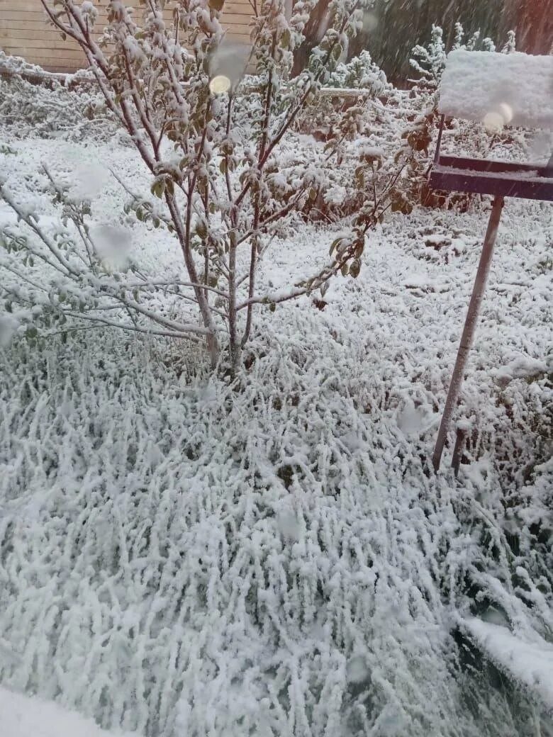 Где выпал снег в россии сегодня. Выпал снег сегодня. Абакан выпал снег. В Ташкенте снегопад выпал снег 2023. Ногинск выпал снег сегодня.