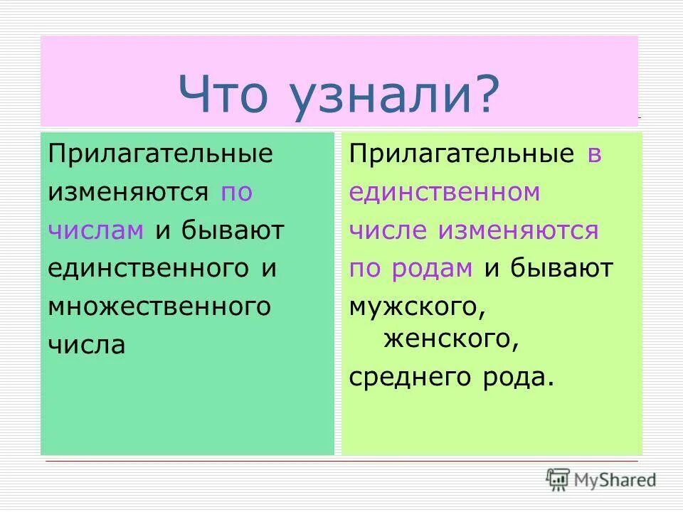 Какие прилагательные не изменяются