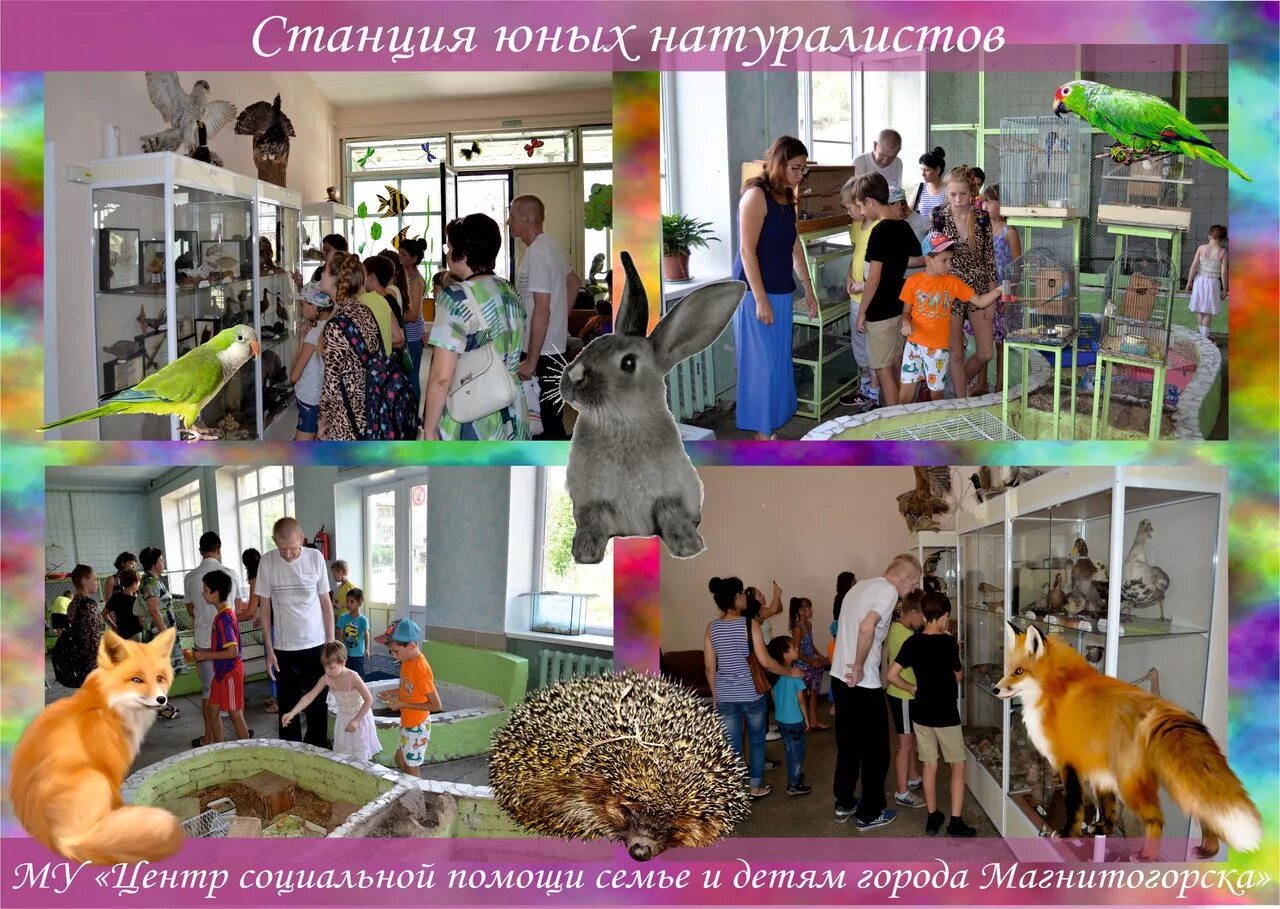 Программа дня открытых дверей. Семинар по экологии. Медаль знатоки природы для детей. Дэбц натуралист. Центр юннаты.
