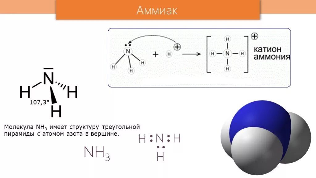 Строение молекулы аммиака nh3.. Структурная формула молекулы аммиака. Строение частиц аммиака. Nh3 структурная формула молекулы. Аммиак состоит из азота и водорода