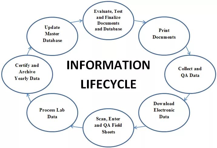 Informal life. Information Lifecycle Management. Information System Life Cycle. Беавер функции. Total Asset Lifecycle information Management Fiatech.