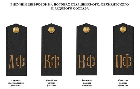 Погоны пехоты