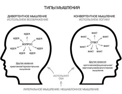 Дивергентное поведение