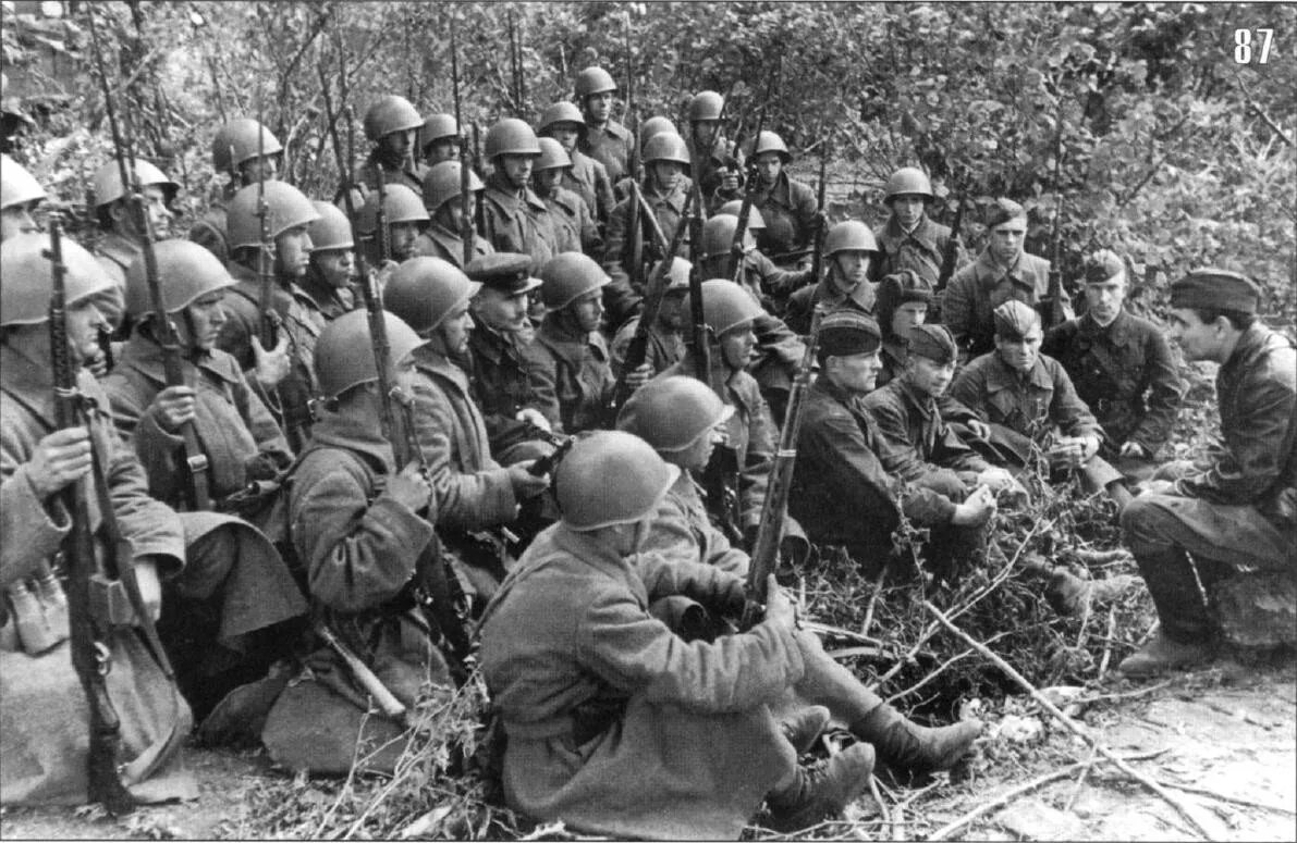 Август 1941. Стрелковая дивизия вов бою. ркка 1941. стрелковый полк вов 1941. стрелковый полк ркка 1941-1945.