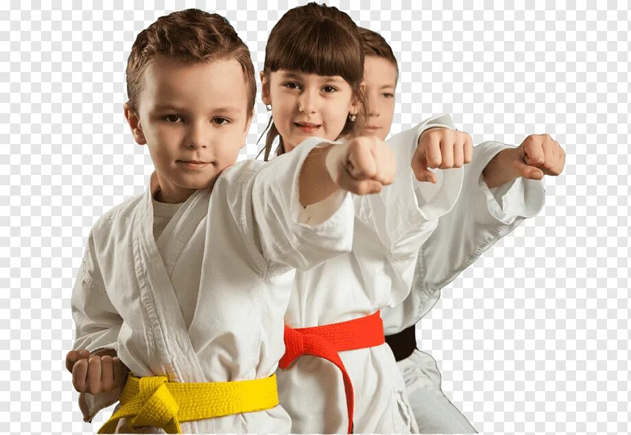 карате для детей с 4 лет. дети дисциплина на карате. каратэ киокушинкай дети. детские единоборства. каратэ дети.