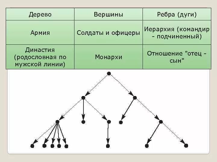 Терминальные вершины дерева. Графы вершины и ребра. Вершины, ребра, дуги. Дерево в дискретной математике. Диаметр дерева это количество ребер максимальной цепи
