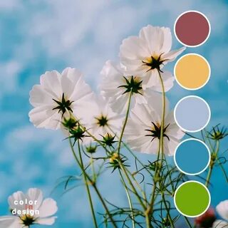 White flower day