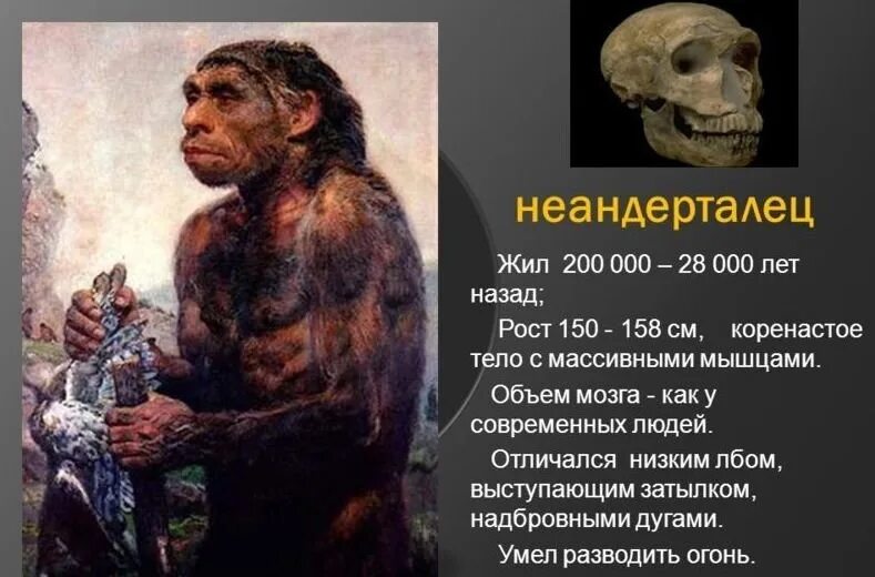 Сколько лет назад возникла. Неандерталец. Неандерталец жил. Древние люди Палеоантропы. Неандертальцы жили.