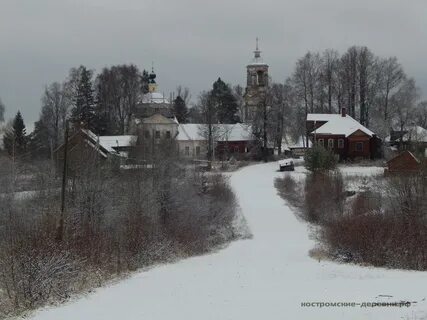 Петровское костромская область