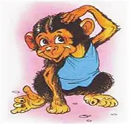 Загадка про обезьянку. Про обезьянку урок 3 класс. Про обезьянку урок 3 класс. План рассказа про обезьянку 3 класс. Рассказ житкова про обезьянку.