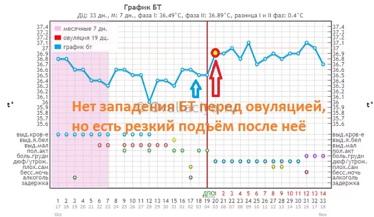 Через сколько падает температура после. БТ имплантационное западение на графике БТ. Имплантационное западение на графике БТ. График базальной температуры с овуляцией. График ректальной температуры овуляция.