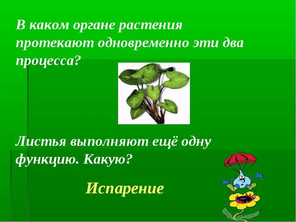 Фотосинтез из неорганических в органические вещества. Photosintes. В каком органе растения протекает процесс. Два процесса в растении на свету. Воздушное питание фотосинтез.