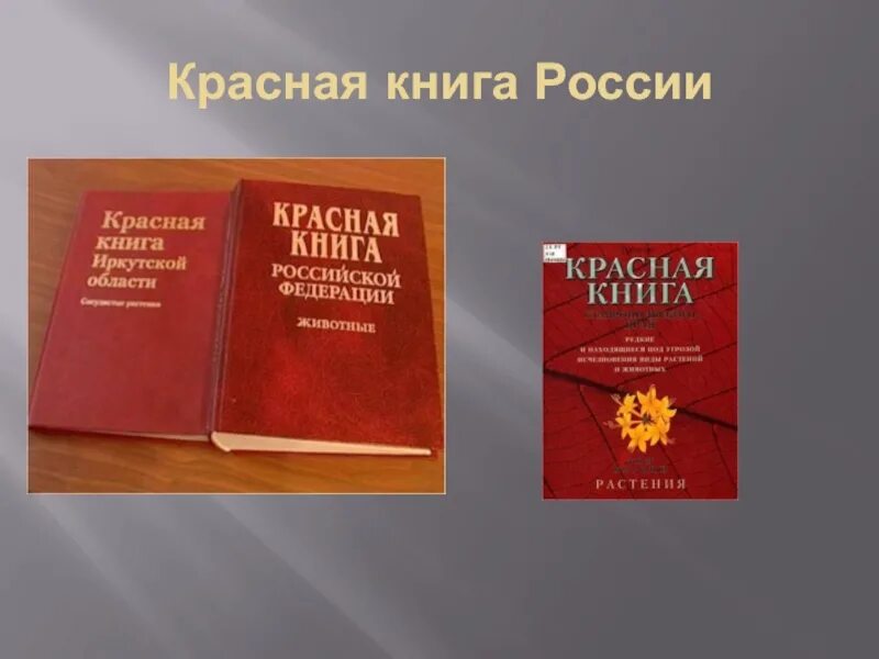 1 том красной книги. Красная книга языков России. Красная книга народов России. Красная книга языков народов России. Книга Российской Федерации.