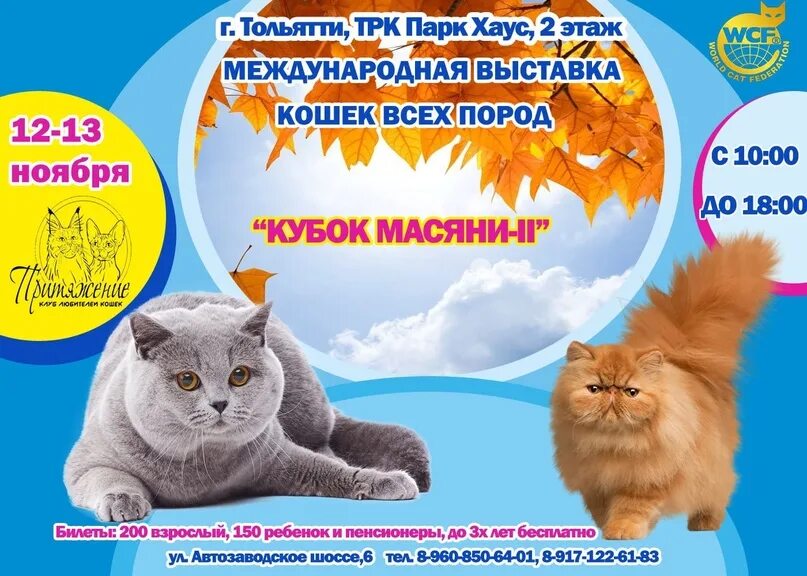 Выставка кошек кемерово 2024. Билет на выставку кошек. Выставка кошек Тольятти. Открытки на выставку кошек. Выставка кошек Тольятти декабрь 2022 года.