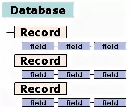 Database field. Field in database. DELPHI при UPDATERECORD field is of an Unknown Type. DB Table. Database fields