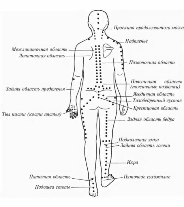 Зона поясницы. Точечный массаж спины схема. Точки на теле человека для массажа. Акупунктура тела человека схема болевые точки. Точечный массаж схема точек.