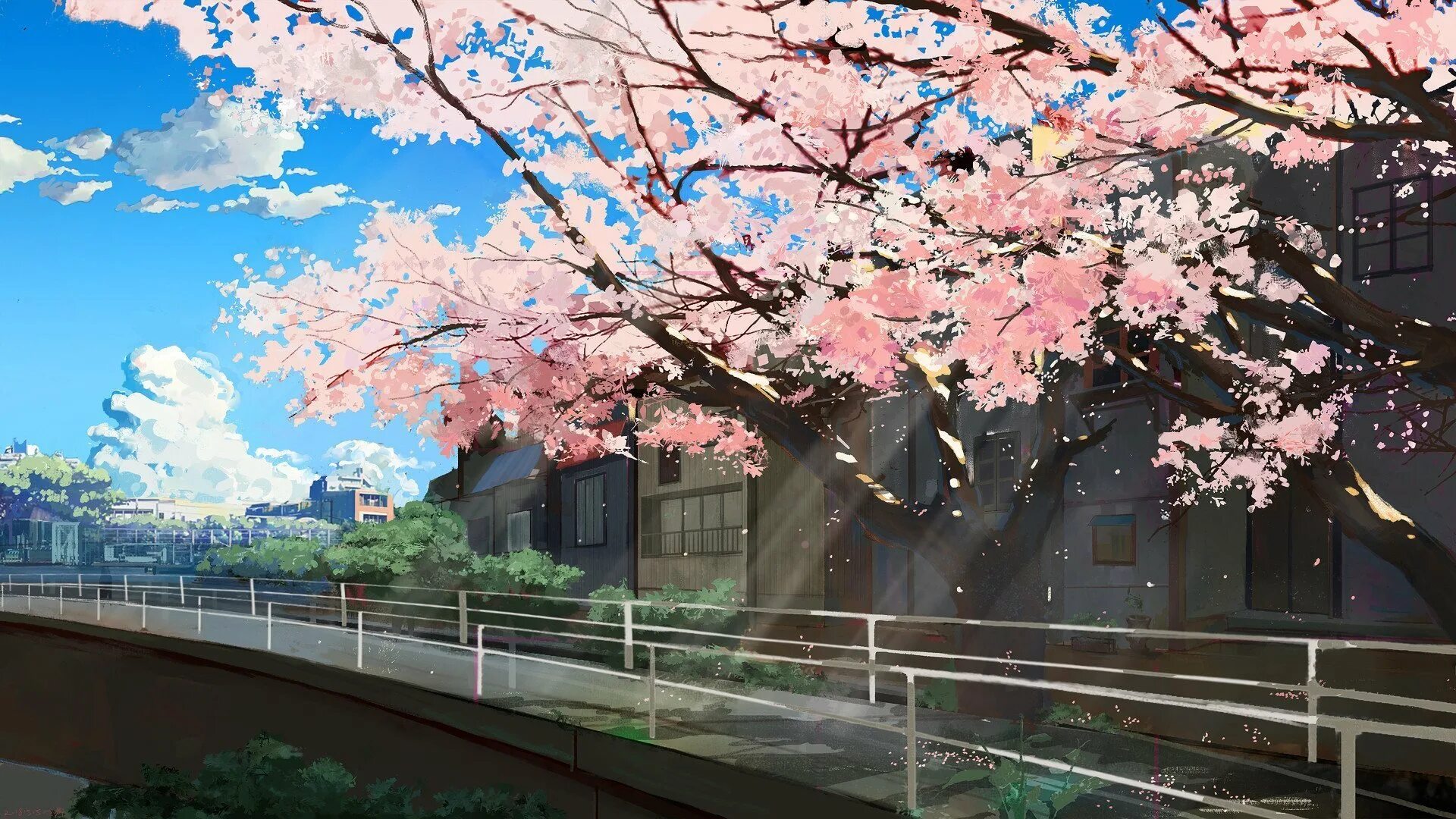 Sakura ai bots