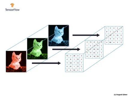 Нейросеть для классификации изображений