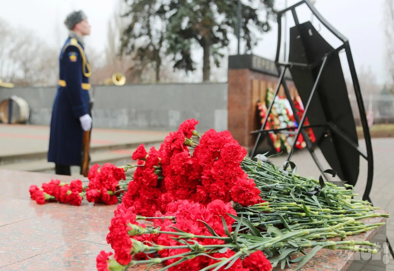 Память героям. Цветы в день памяти героя Отечества. Награждены памяти героев Отечества. Медалью памяти героев Отечества наградили. Мероприятие памяти героя