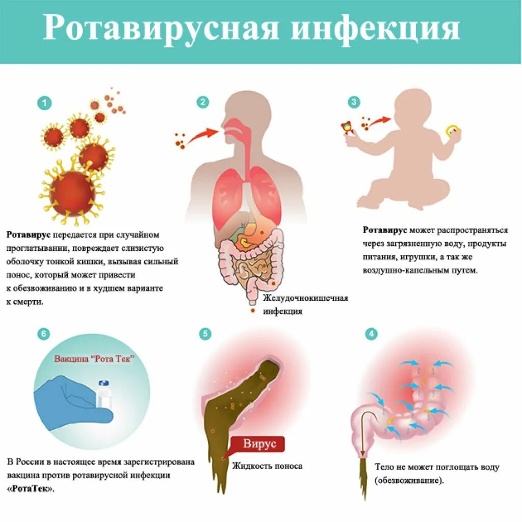 Кишечные инфекции рвота без температуры. Симптомы ротовирусной иефек. симптомы ротавирусной инфекции. ротавирусную инфекцию у ребенка,симптомы. как понять что ротавирусная инфекция.