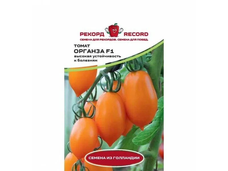 Томаты черри сливовидные желтые. Томат органза f1. Томат скворец f1. Томат сливовидный органза. Томаты черри сливовидные оранжевые.