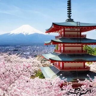 Порно фото галерея