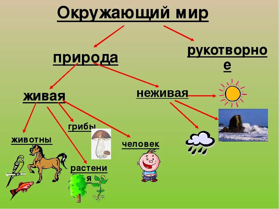 Окружающий мир 2 класс основные темы. Живая и неживая природа. Живая и не мивая природа. Окружающий мир. Живая неживая природа рукотворный мир.