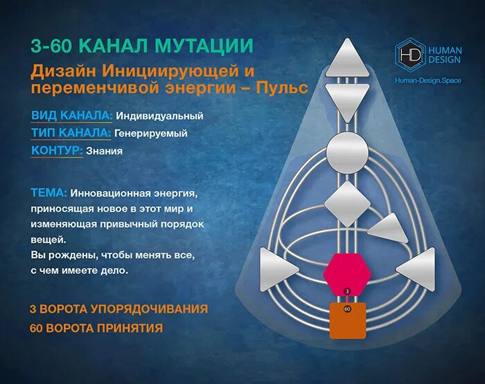 3 мутации