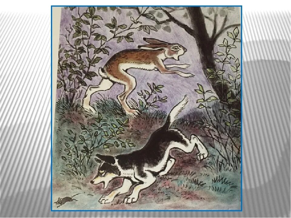 Сказка друг собаки. Мордовская сказка как собака друга искала иллюстрации. как собака друга искала сказка. иллюстрации к сказке как собака друга искала. мордовские сказки иллюстрации.