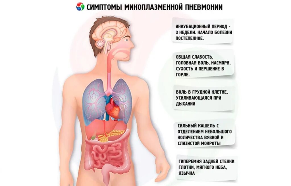 Первые признаки воспаление. Воспаление лёгких симптомы. Восполении лёгких, симптомы.