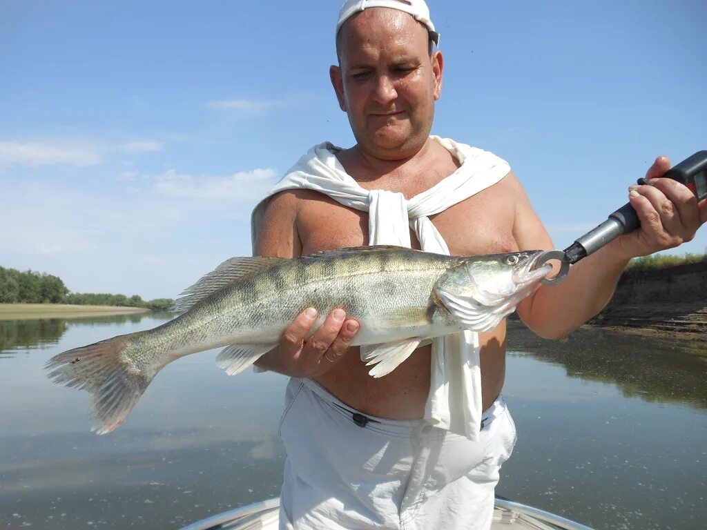 поселок харабали. корма для животных харабали. харабали астраханская область погода 3 дня. харабали. кулова харабали.