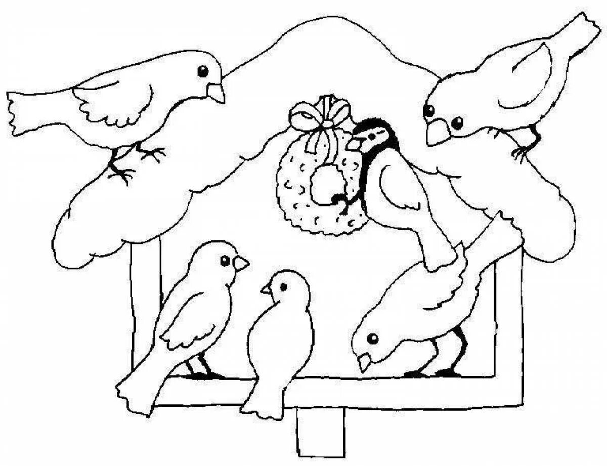 День птиц распечатать. Зимние птицы раскраска для детей. Раскраска кормушка для птиц для детей. Зимняя птичка раскраска. Птичка раскраска для детей.