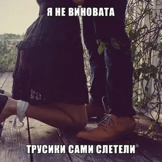 Песня сама полечу сам доберусь