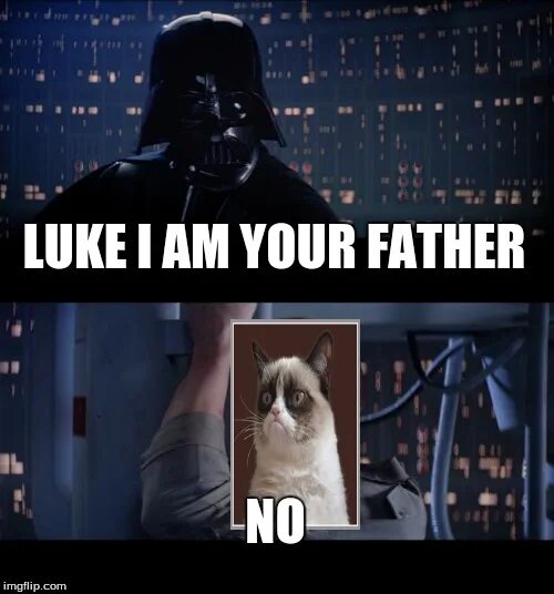 Luke im your father. Im your father Darth Vader. I am your father Мем. No, i'm your father. What your father do