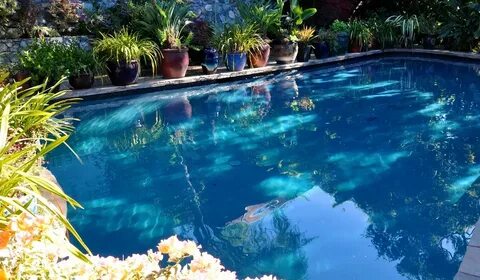Pool pearl