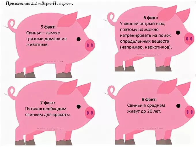 Факты о свинках. Интересные факты о свиньях для детей. Интересные факты о поросятах. Факты о свиньях
