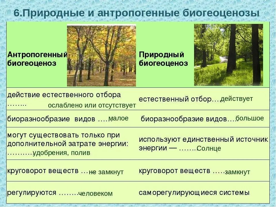 Природные и антропогенные экосистемы. Природные экологические системы. Виды антропогенных экосистем. Природно-антропогенный. Выявление антропогенных изменений в экосистемах своей местности