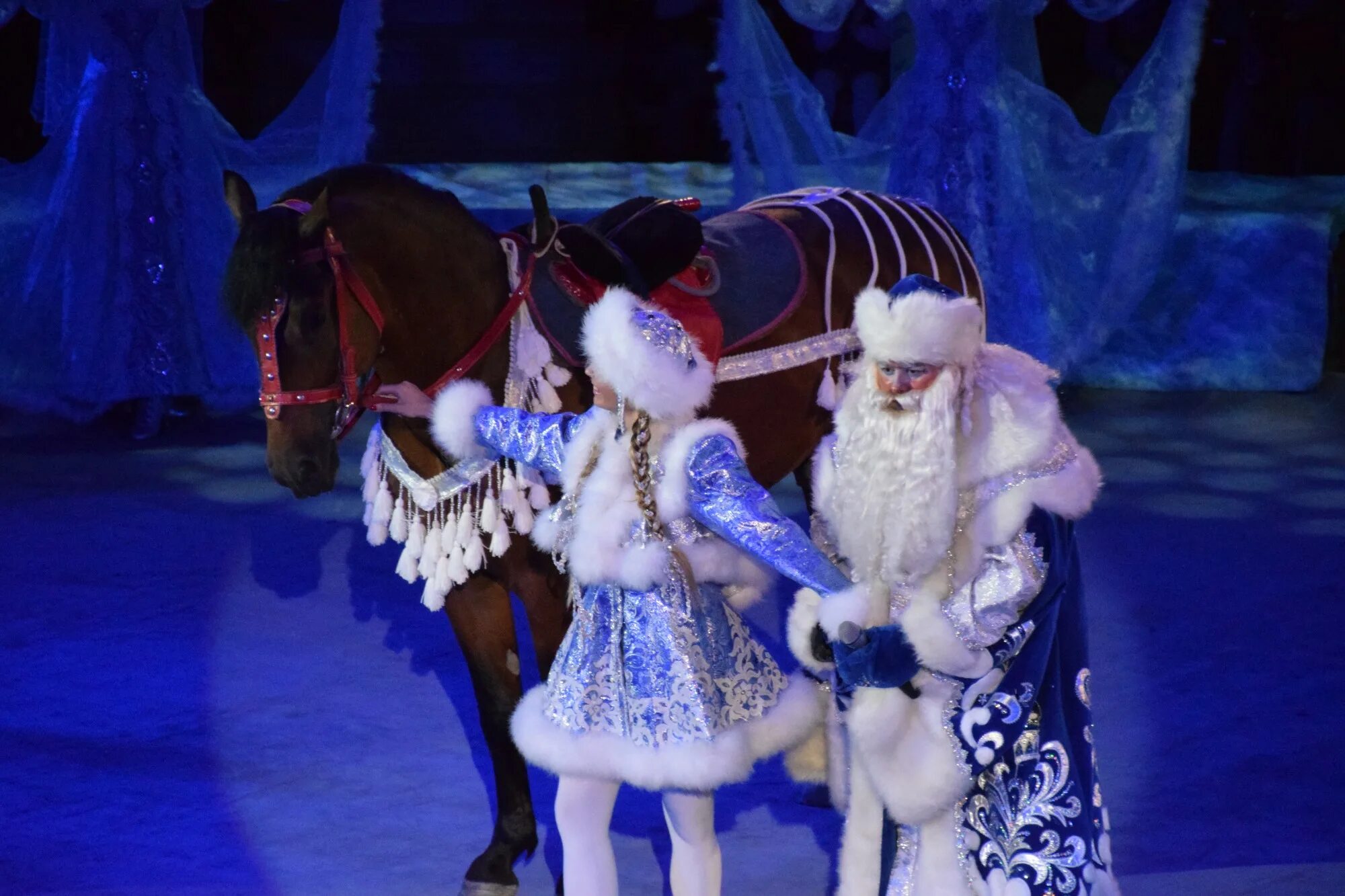 цирк екб гии эрадзе. новогоднее представление в цирке тбилиси. новогоднее представление екатеринбургский цирк. елка екатеринбуржский цирк. самарский цирк новогоднее представление.