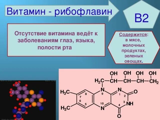 Отсутствие витамина б. Рибофлавин заболевания. Рибофлавин витамин. Витамин б2 рибофлавин.