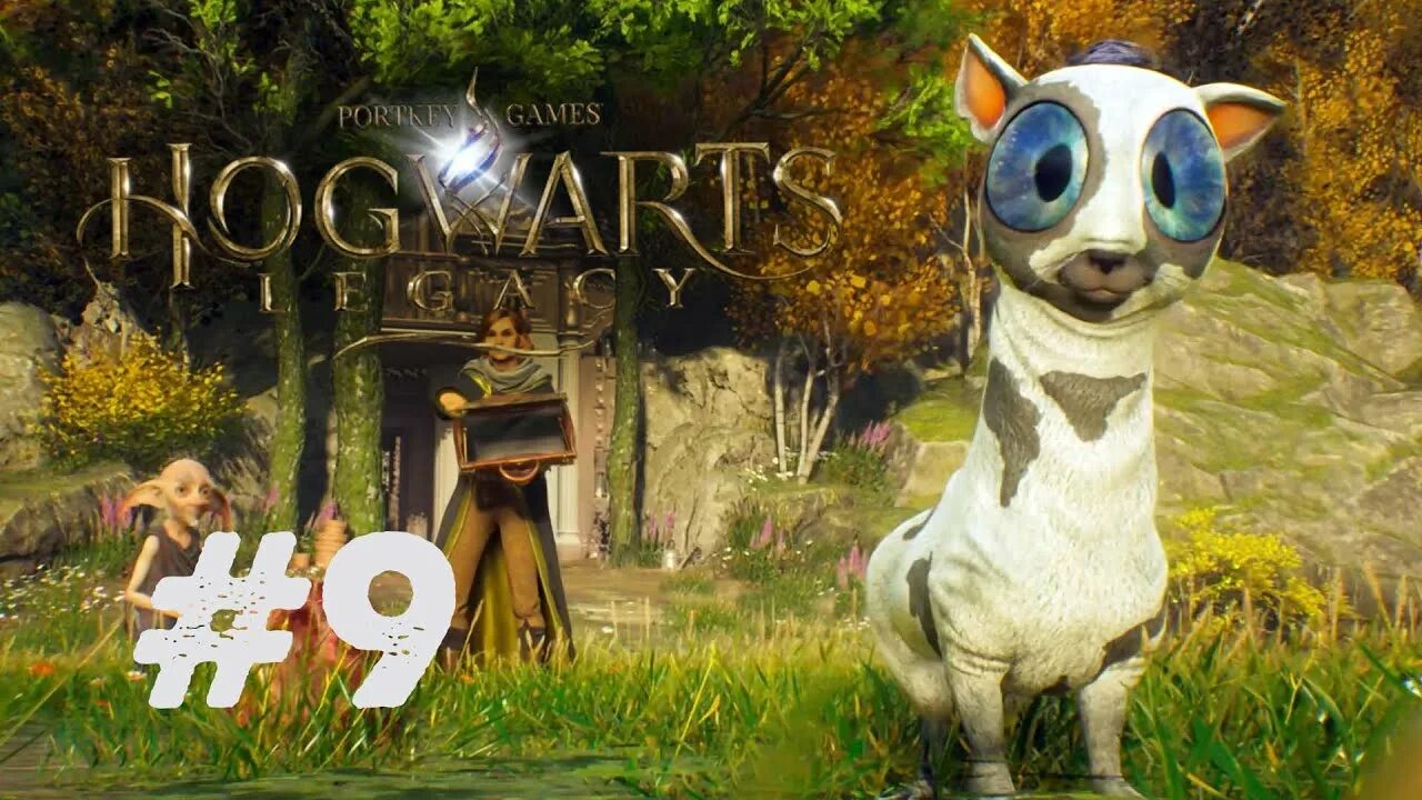 Лунтеленок хогвартс. Лунтеленок hogwarts. Хогвартс legacy фестрал. Логово лунтеленка хогвартс. Спасите лунтеленка hogwarts.
