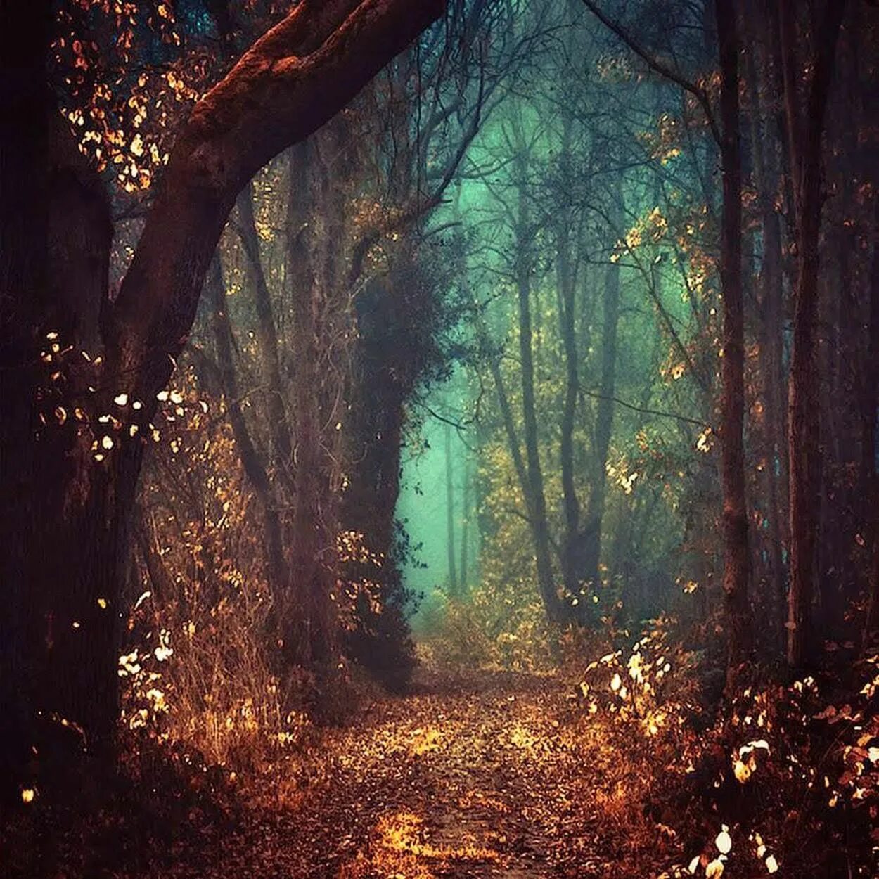 Мистер фирс марвел. Загадочный пейзаж. И тот же загадочный. Человек в капюшоне. Мистический лес.