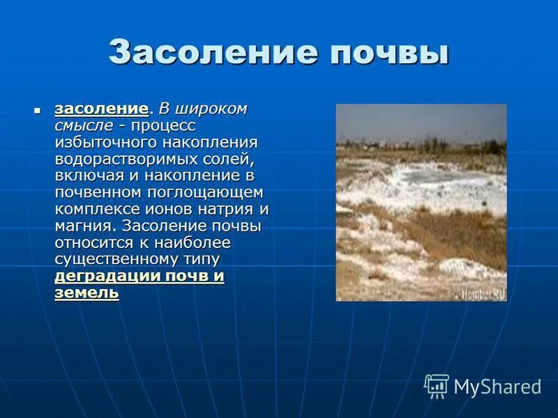 засоление почв характерно. вторичное засоление почв. засоление почв последствия. засоление почв характерно. солонцы и солончаки почвы характеристика.