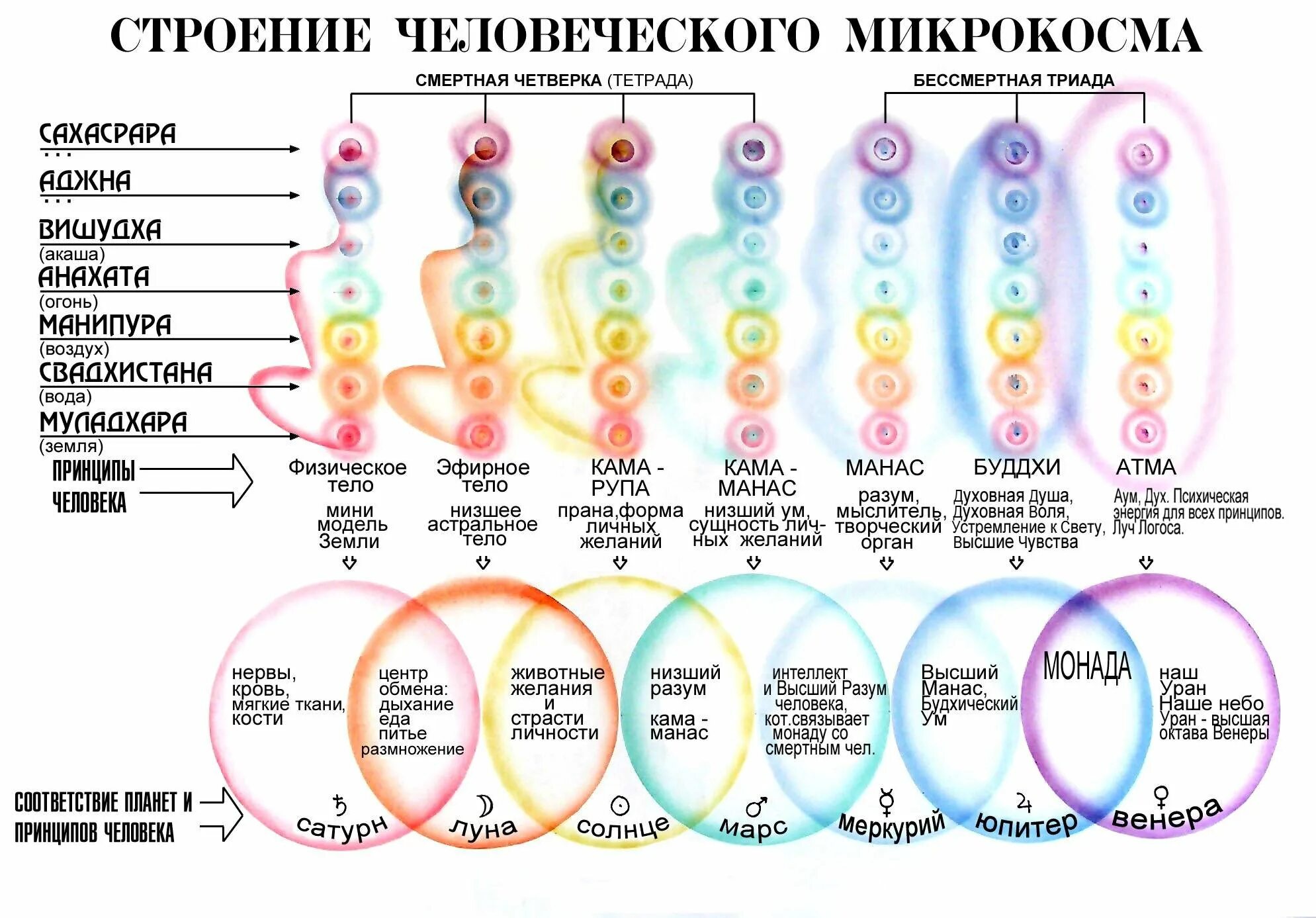 Чакры энергетические центры тонких тел. Структура тонких тел человека. Соединение чакр и тонких тел человека. 7 Тонких тел человека описание.