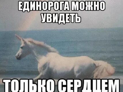 Подожди отстань
